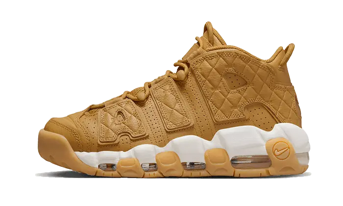 Buy the Nike Air More Uptempo Tri-Color 6.5Y